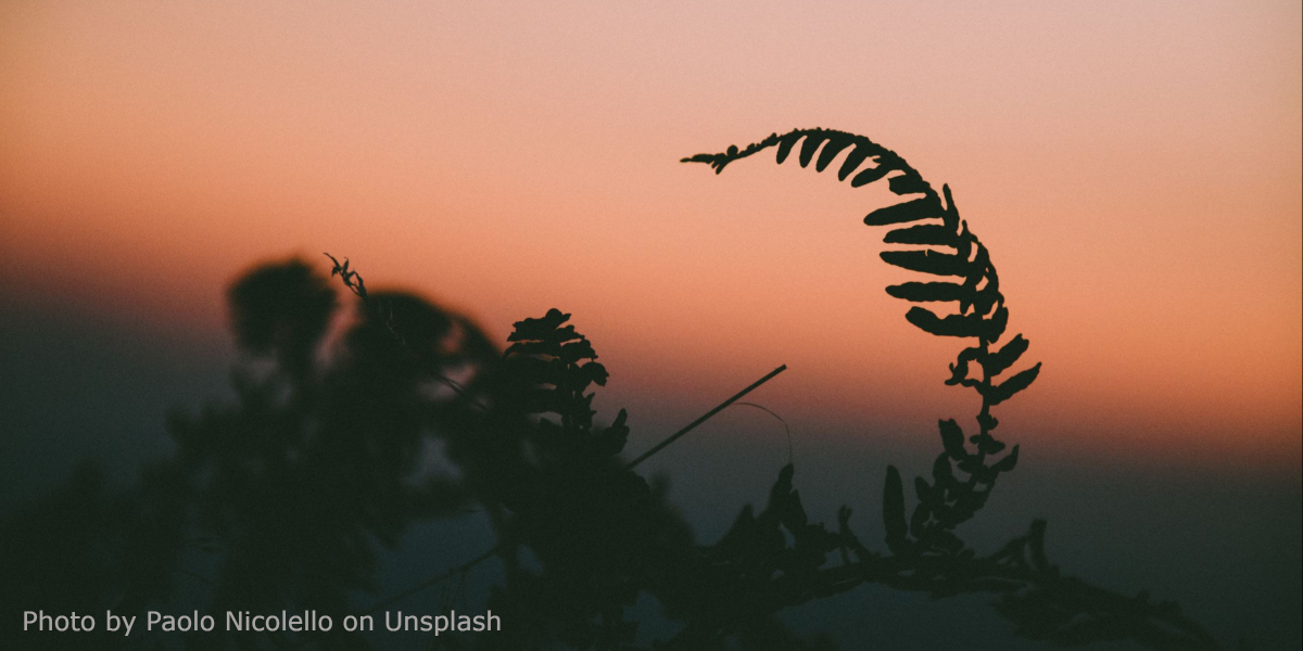 Life and Death Coach