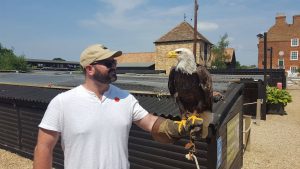 Damien Fogg Investor