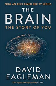 Books Paul recommends: The Brain