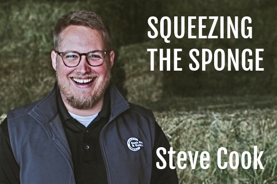 Steve Cook : Squeezing The Sponge